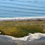 From high up on the bluff trail near Ebeys Landing, people look like specks along a strip of land dividing a lagoon from the Strait of Juan de Fuca. (Caleb Hutton / The Herald)