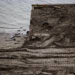 Where the beach ends and an old seawall begins north of Langley on Whidbey Island. (Olivia Vanni / The Herald)