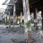 Photo by Emily Gilbert/Whidbey News-Times
Federal permit approval is the last things standing in the way of the Port of Coupevilles cap and pile project for the Coupeville Wharf. Executive Director Chris Michalopoulos hopes that approval will come soon so crews can begin the estimated three-week project to replace the decaying foundation for the century-old building.