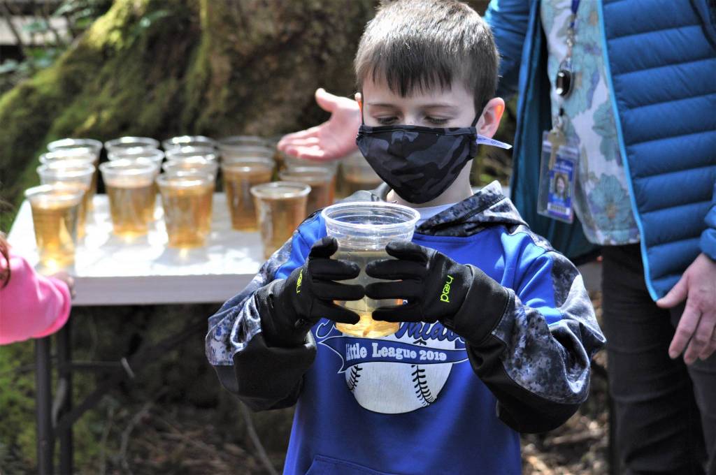 Photo by Bob OBrien
Third grader Colin Goodman carefully observes the silver salmon he has helped raise for the past three months. It was one of 227 salmon that was released Friday afternoon into Maxwelton Creek. By the time Goodman is in seventh grade, the salmon he released may return to the creek to spawn.