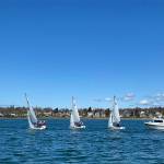 Wildcat Sailing Club