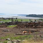 After a delay caused by the pandemic, developer Scott Thompson said construction of new homes may begin soon on the hillside across from Safeway. Photo by Emily Gilbert/Whidbey News-Times