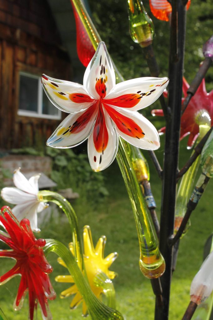 A finished glass-blown lily in the garden of Island Art Glass. (Photo by Kira Erickson/South Whidbey Record)