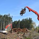 Photo by Emily Gilbert/Whidbey News-Times
Although it may seem that there have been more clear-cuts on Whidbey Island in recent months, like the one seen here off Monkey Hill Road on North Whidbey, state Department of Natural Resources data shows the amount of logging in the area has been fairly steady over the past five years.