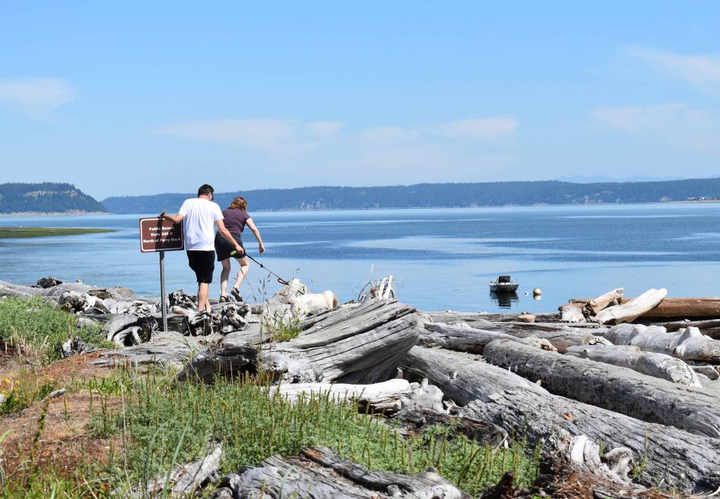 Photo by Emily Gilbert/South Whidbey Record 
A couple and their dog climb over the driftwood at Clinton Beach that has piled up after winter storms.