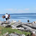 Photo by Emily Gilbert/South Whidbey Record
A couple and their dog climb over the driftwood at Clinton Beach that has piled up after winter storms.