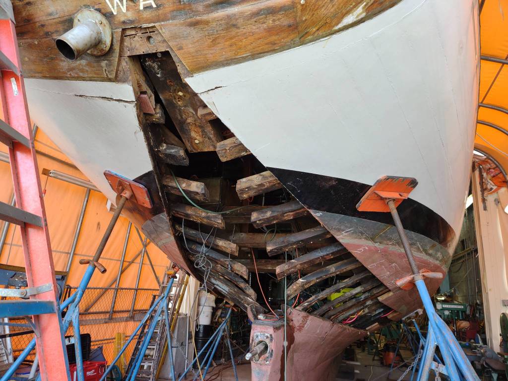 Photo provided
Crews opened the Suvas hull to replace its horn timber and a couple of planks while it was in dry dock for about a month this year. It is back in Coupeville now and ready to sail.
