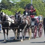 A horse-drawn carriage trots down the parade line. (Photo by Karina Andrew/Whidbey News-Times)