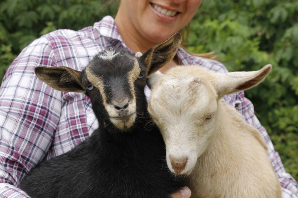 Raisin, left, and Milk, Kennys niece and nephew. (Photo by Kira Erickson/South Whidbey Record)