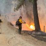 Firefighters work at the Lick Creek fire near the Idaho and Oregon borders. (Photo provided by Central Whidbey Island Fire and Rescue)