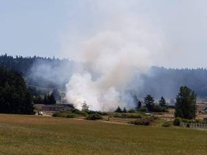 Photo by Sara Hogarth