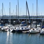 Photo by Emily Gilbert/Whidbey News-Times
Some areas of the Oak Harbor Marina are so shallow at low tide that sailboats can be seen sitting on mud. The Oak Harbor City Council chose a bond refinancing option that could include an increase to the dredge fee boaters pay to use the marina.