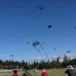 Photo courtesy of Whidbey Island Kite Festival
Kite fliers gather for the Whidbey Island Kite Festival in 2019. The Festival is one of many end-of-summer events happening on Whidbey Island.