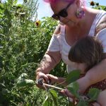 Photo by Emily Gilbert/Whidbey News-Times
Heather Tawney and her three-year-old granddaughter Delilah Hunziker clip a sunflower at the u-pick fields at K & R Farms on North Whidbey.