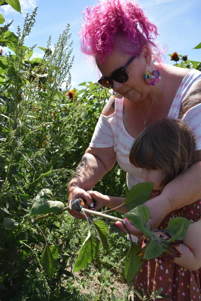 Photo by Emily Gilbert/Whidbey News-Times
Heather Tawney and her three-year-old granddaughter Delilah Hunziker clip a sunflower at the u-pick fields at K & R Farms on North Whidbey.