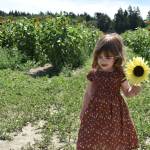 Photo by Emily Gilbert/Whidbey News-Times