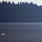 on Wednesday, Nov. 10, 2021 in Everett, Wa. (Olivia Vanni / The Herald)