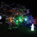 Photo by Karina Andrew/Whidbey News-Times