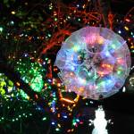 Photo by Karina Andrew/Whidbey News-Times