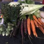 Photo provided
The Whidbey Island Grown Cooperative helps connect island residents with products from local farms.