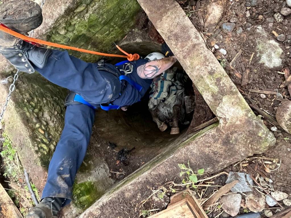 Photo provided
Responders are lowered into the well to sedate Blaze and secure him with straps from extraction.