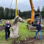 Photo provided
Responders hoist Blaze out of the well with an excavator.