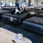 Everyone has a different sleeping style, so its important to know what questions to ask when shopping for a new mattress – and then to take the Goldilocks Test.