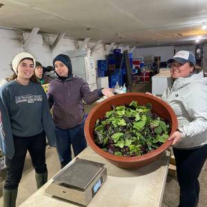 Photo provided
From left, Bells Farm workers Elly Hammond, Sheyanne Mcconal and Misty Diehl brave the cold earlier this month to harvest spinach and other leafy greens, which are among those crops which thrive in cooler temperatures.