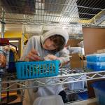 Teddy Alexander (Photo by David Welton)