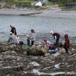 Whidbey residents flocked to Rosario Beach Thursday to examine a diverse array of marine life in tidal pools exposed by a super low tide. (Photo by Karina Andrew/Whidbey News-Times)