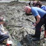 Deception Pass State Park volunteer Nan Maysen, left, points out a lined chiton to Rosario Beach visitors during low tide on Thursday. (Photo by Karina Andrew/Whidbey News-Times)