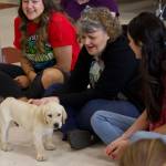 North Whidbey Middle School staff. (Photo by Rachel Rosen/Whidbey News-Times).