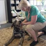 TJ Harmon Fisher sits with her service dog Brody. (Photo by Rachel Rosen/Whidbey News-Times).