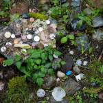 Coins and other offerings from guests are laid at the center of a stone circle at Earth Sanctuary. (Ryan Berry / The Herald)