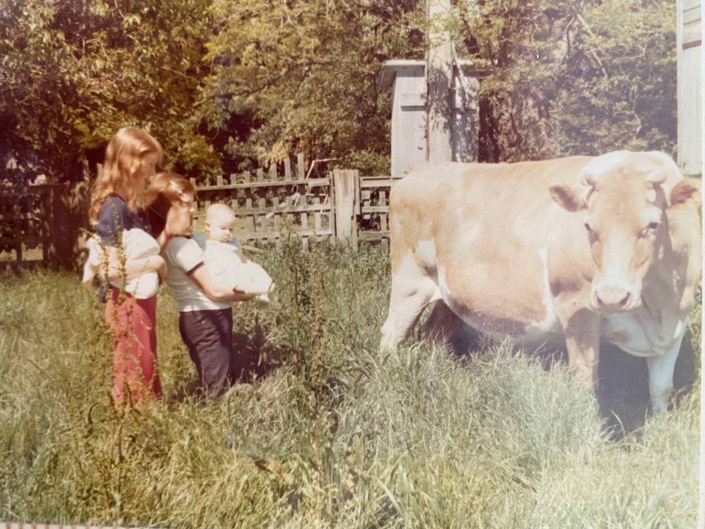 Photo provided
Sarah Vierss sisters, Sylvia, Shannon and Stephanie, hang out with a dairy cow on the family farm in the 1970s.