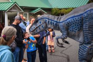 Photo by David Welton