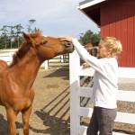 Karlyne Larsen, daughter of Karl and Darlyne Krieg, still helps out on her mother's farm. (Photo by Rachel Rosen/Whidbey News-Times)