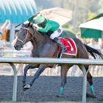 Slew's Tiz Whiz, ridden by Jose Zunino, won the Longacres Mile on Sunday. (Photo provided by Emerald Downs)