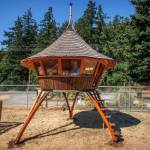 Photo by David Welton
The Hummingbird Yurt, built by Dan Neumeyer.