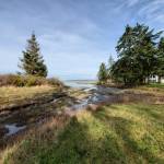 Photo provided
The Race Lagoon estuary is an important habitat for juvenile salmon to grow before heading to the ocean.