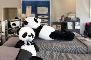 Investing in a quality mattress is one of the laziest ways to improve your health! Talk to the experts at ESC Mattress Center in Everett to find the best bed for you.