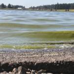File photo Lone Lake on South Whidbey has a history of water quality problems.