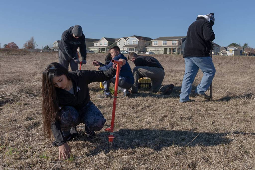 U.S. Navy photo by Mass Communication Specialist 3rd Class Jacquelin Frost
Pacific Rim Institute and Navy volunteers plant and seed 16 species of native plants to protect and enhance a population of threatened golden paintbrushes on the base Nov. 12.