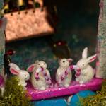 Photo by David Welton
A colony of Langley rabbits munches on some candy canes.