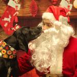 Photo by Karina Andrew/Whidbey News-Times