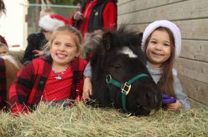 Photo by Karina Andrew/Whidbey News-Times
From left, kindergartener Gwen Carvalho and 4-year-old Maggie Sitko pet a miniature pony. Maggies grandmother, Ronnie Sitko, brought in the ponies to Oak Harbor Christian School on Friday to spread some Christmas cheer among the students.