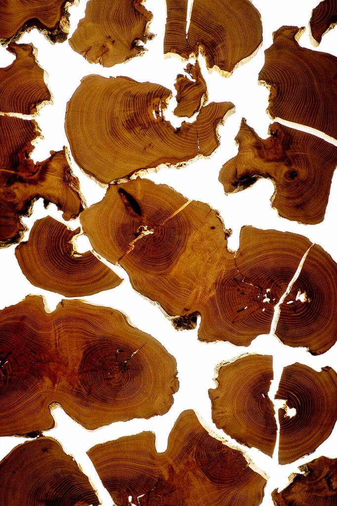 Photo by David Welton
Since starting his woodworking business, Kelly Cameron has branched out to create decorative wall hangings.