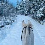 Jessica Aws offered this horseback in the snow photo.