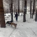 Tara Castro submiited this wintery image.