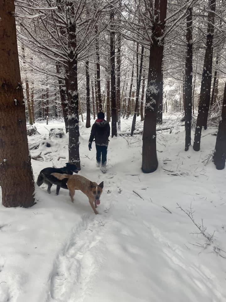 Tara Castro submiited this wintery image.